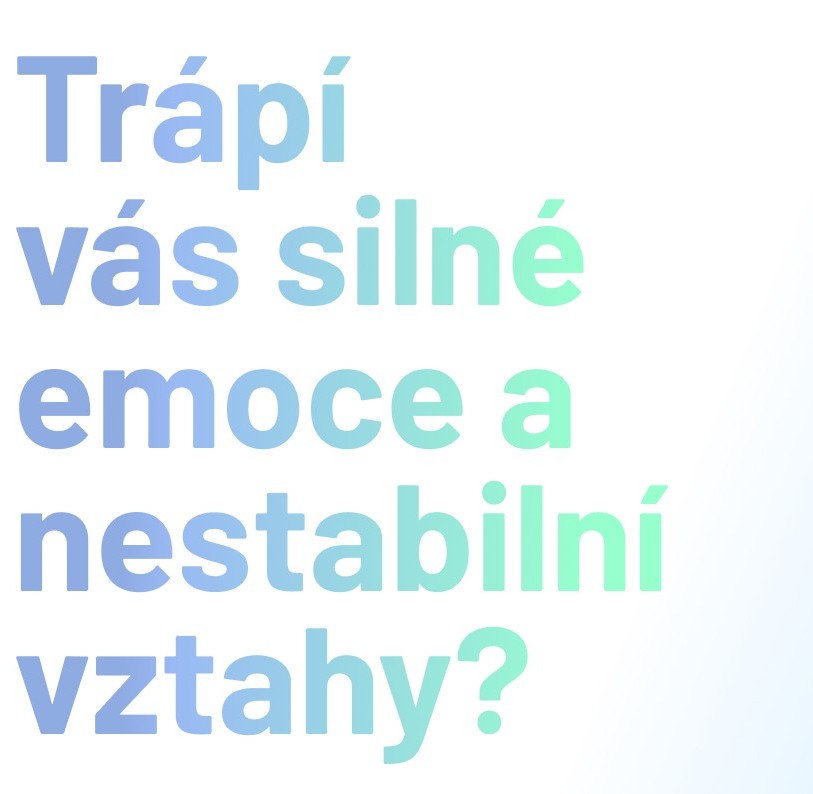 DBT orez na web