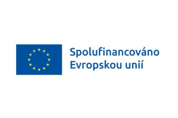Ledovec rozjíždí nový projekt na podporu neformálně pečujících v Plzeňském kraji